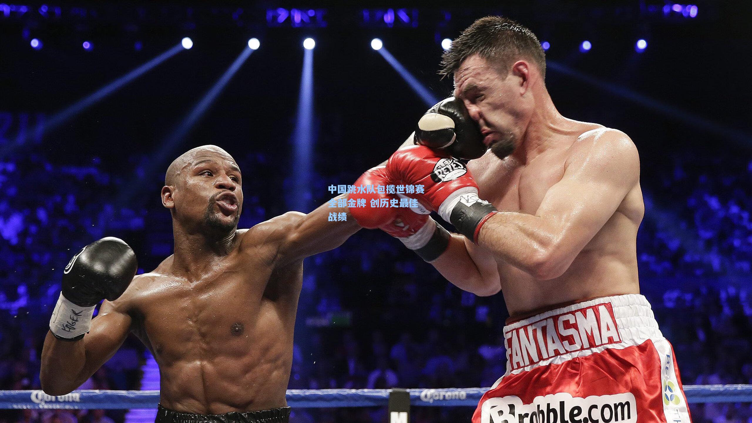 中国跳水队包揽世锦赛全部金牌 创历史最佳战绩