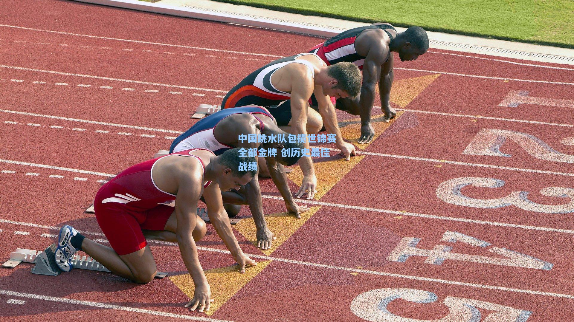 中国跳水队包揽世锦赛全部金牌 创历史最佳战绩