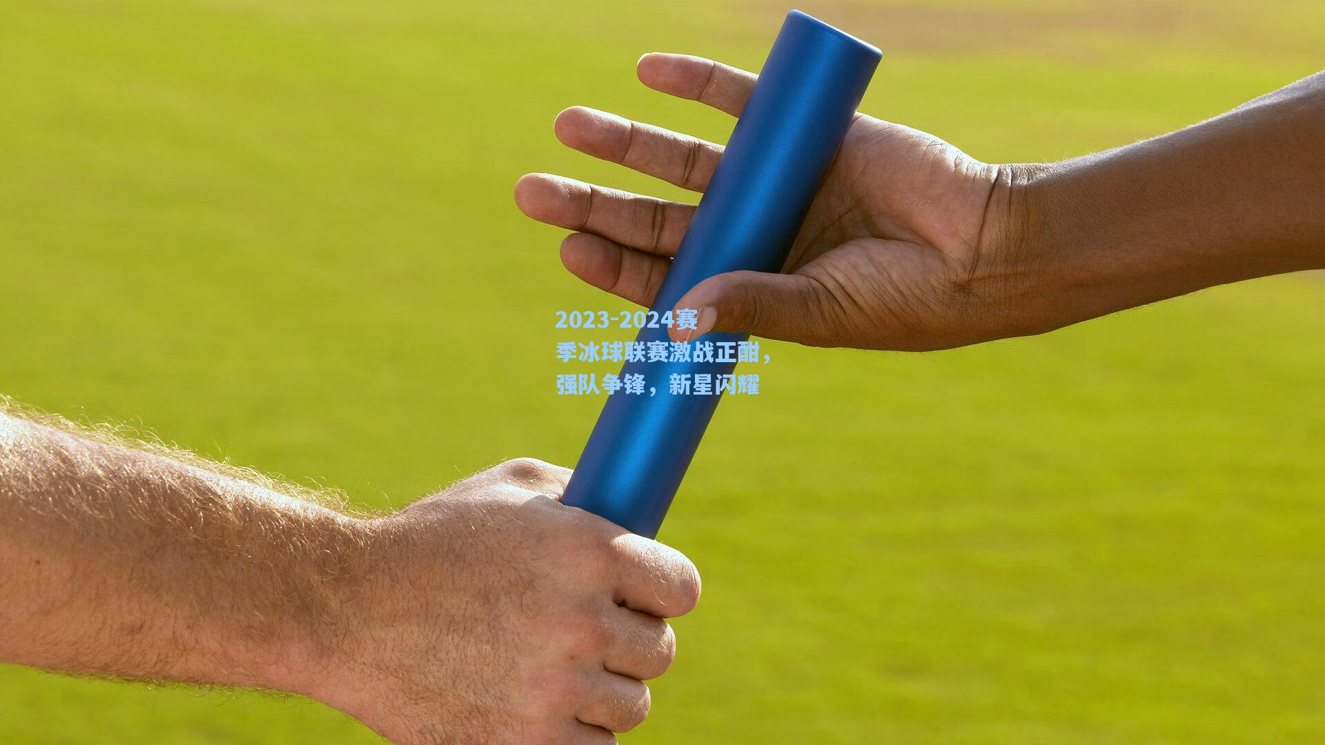 2023-2024赛季冰球联赛激战正酣,强队争锋,新星闪耀