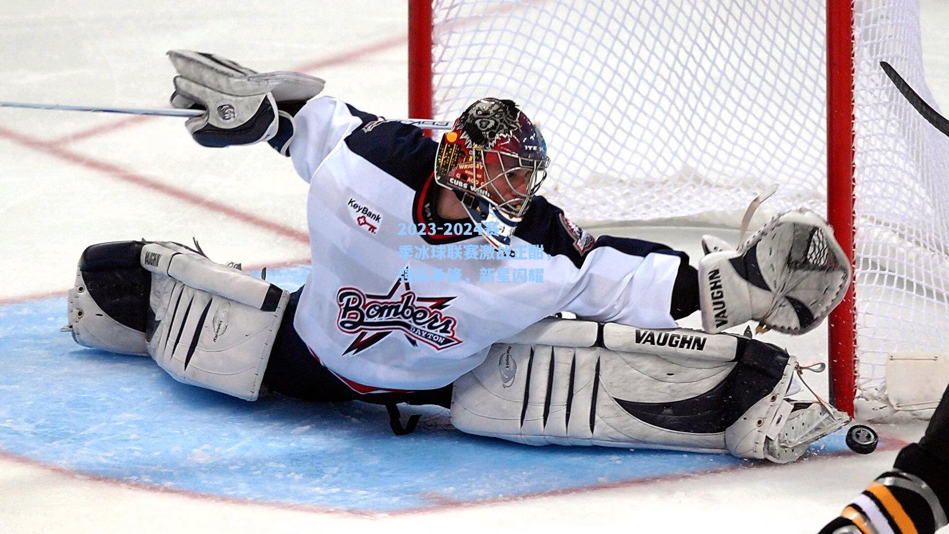 2023-2024赛季冰球联赛激战正酣,强队争锋,新星闪耀