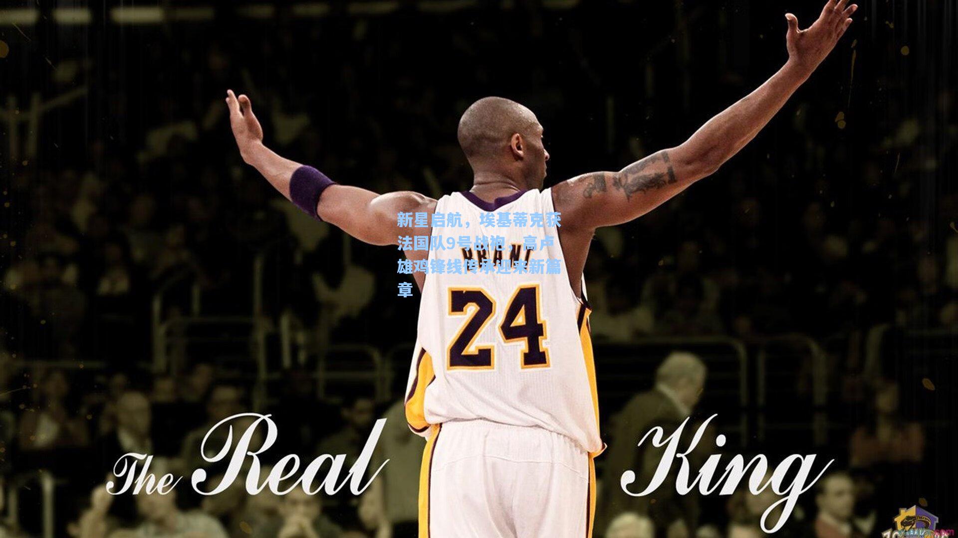 新星启航，埃基蒂克获法国队9号战袍，高卢雄鸡锋线传承迎来新篇章